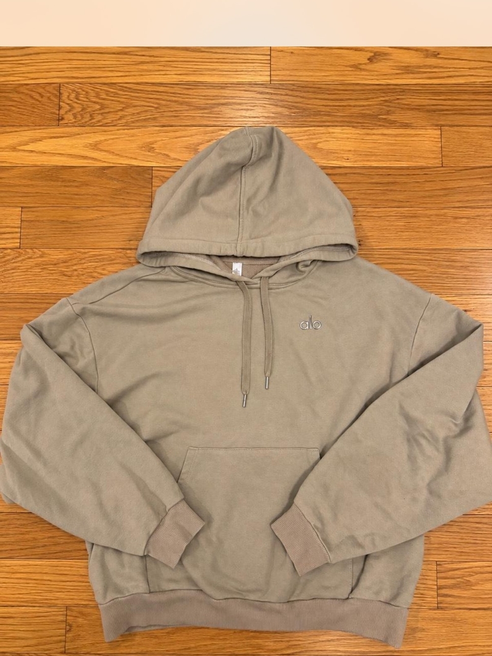 ALO Hoodie (Authentic)